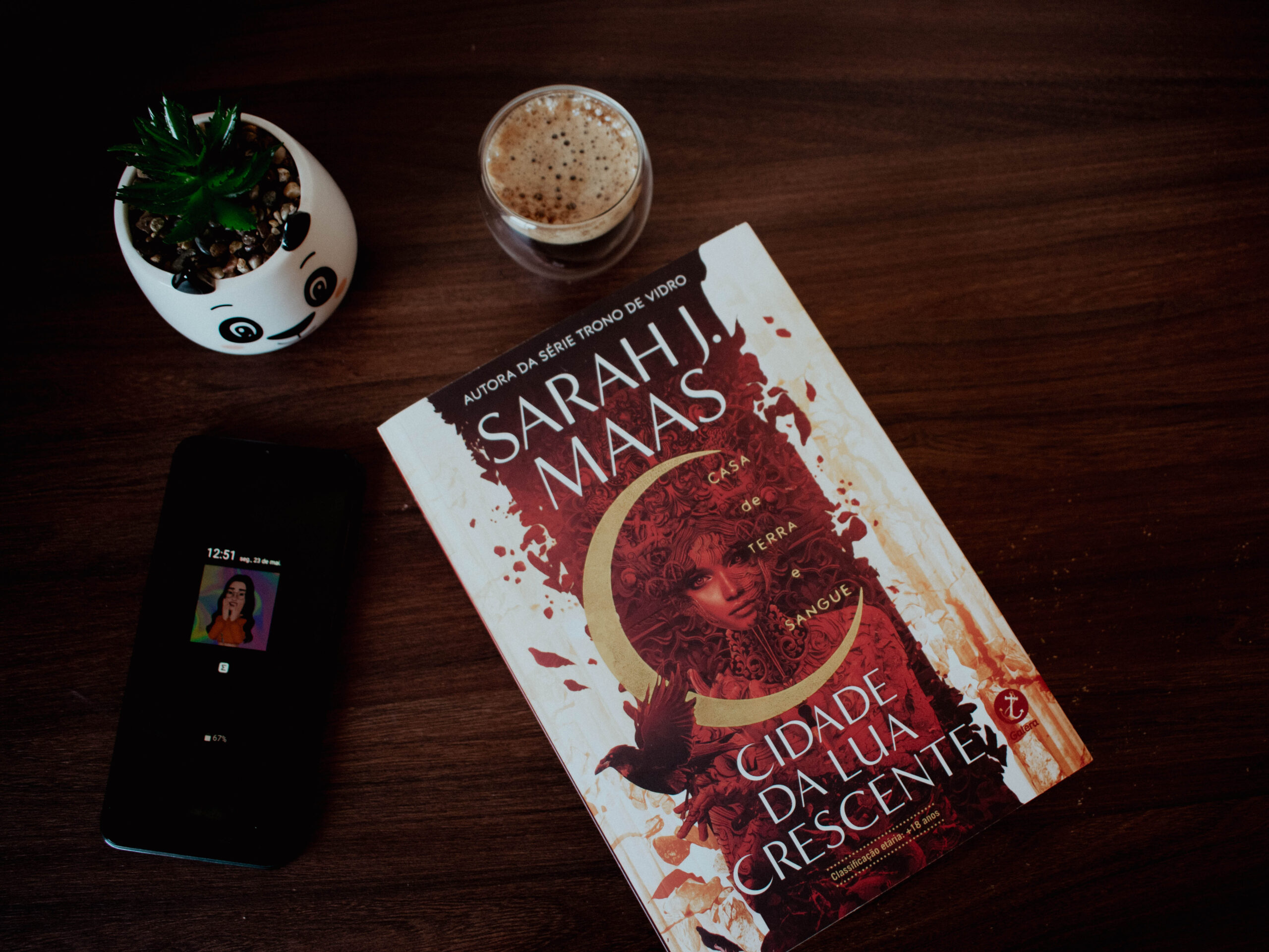 RESENHA CIDADE DA LUA CRESCENTE SARAH J MAAS Midnight Reading